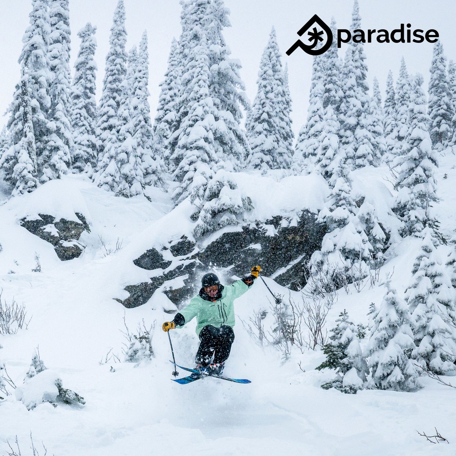 Paradise Ambassador Blayne Kanning on his VICE 105 Freeride Skis