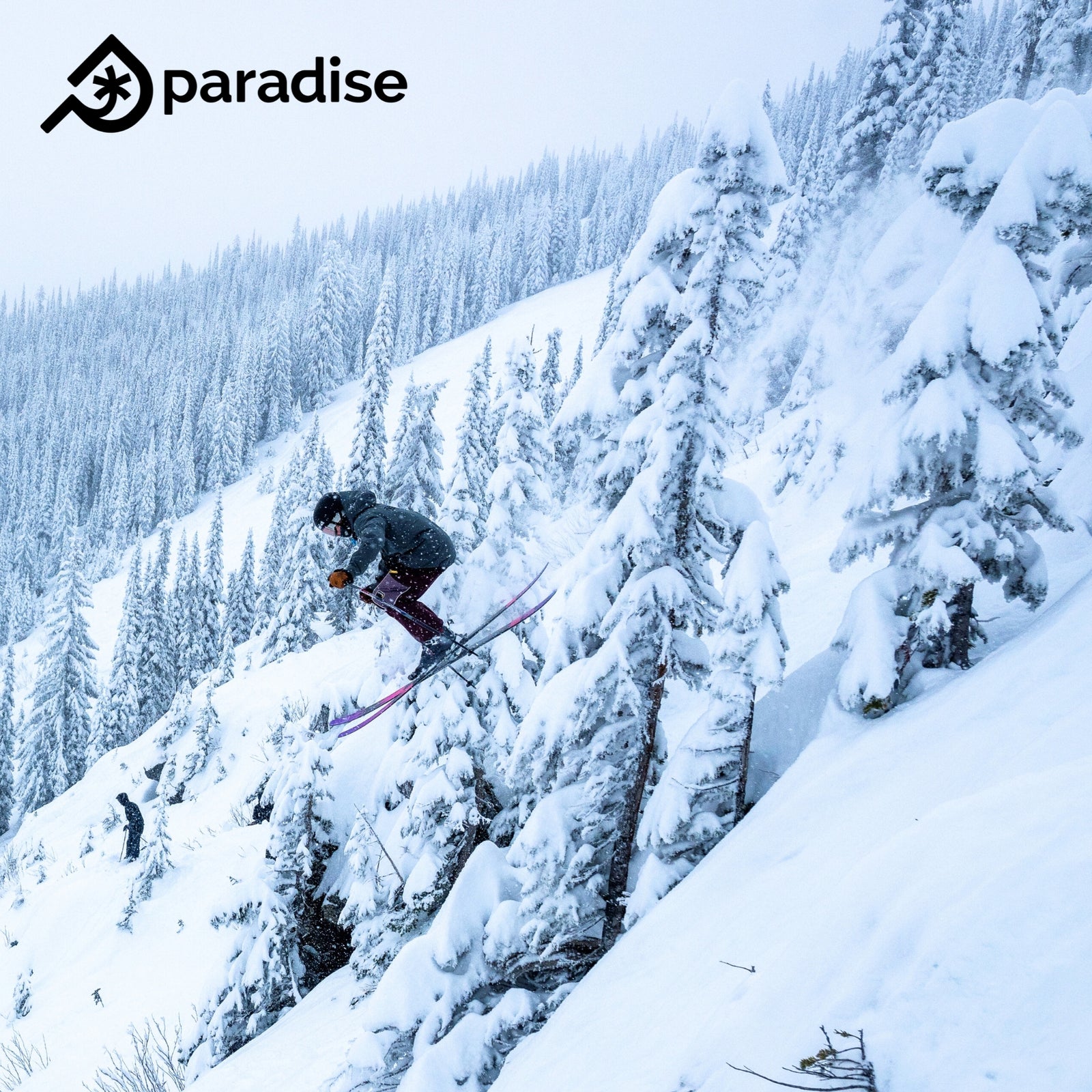 Paradise Skis - Canada's Premier Ski and Snowboard Brand