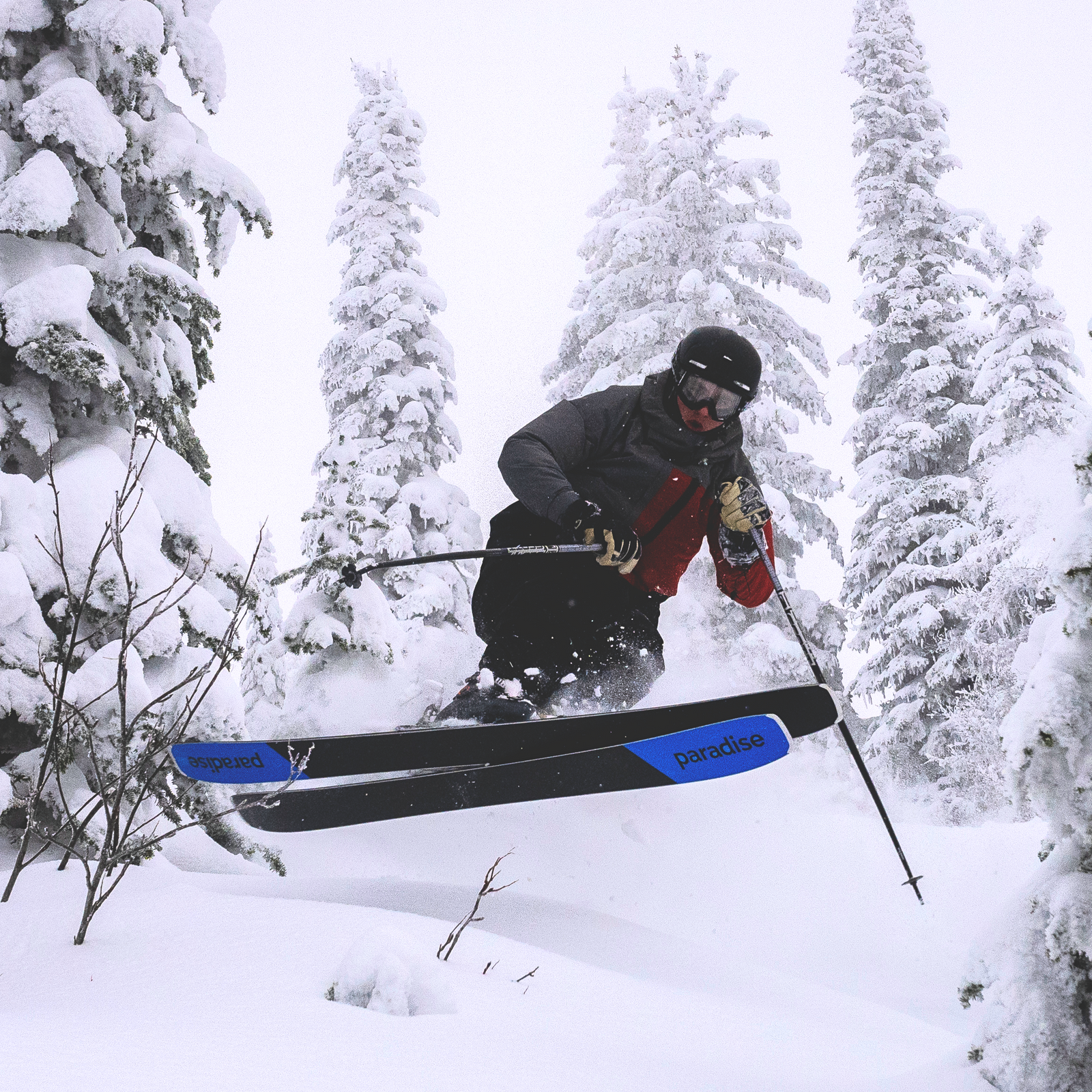 Paradise Freeride Ski Athlete Blayne Kanning