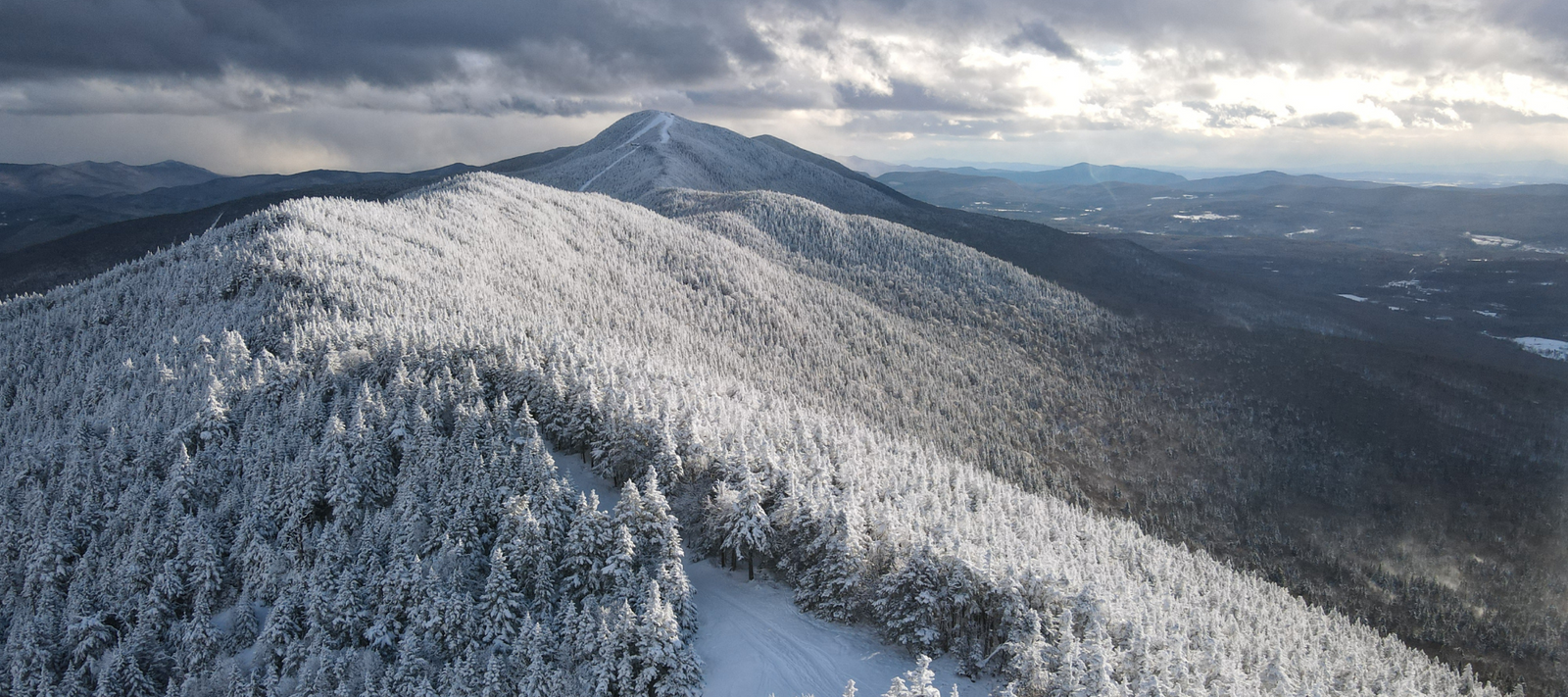 A snow covered forest at a ski resort in the United States.