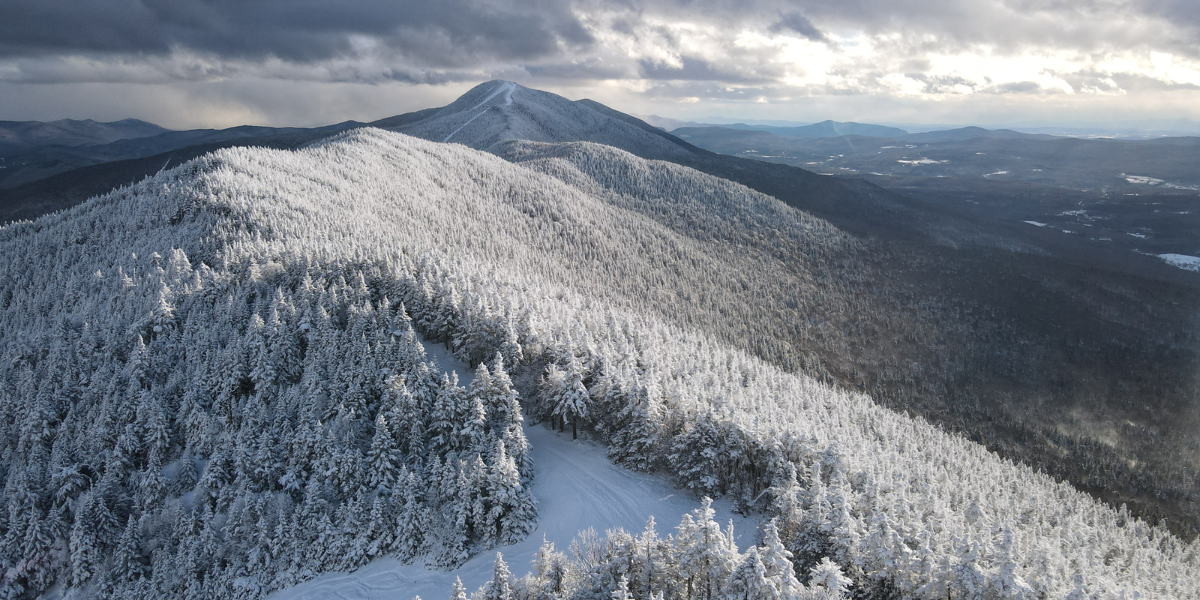A snow covered forest in the United States. 