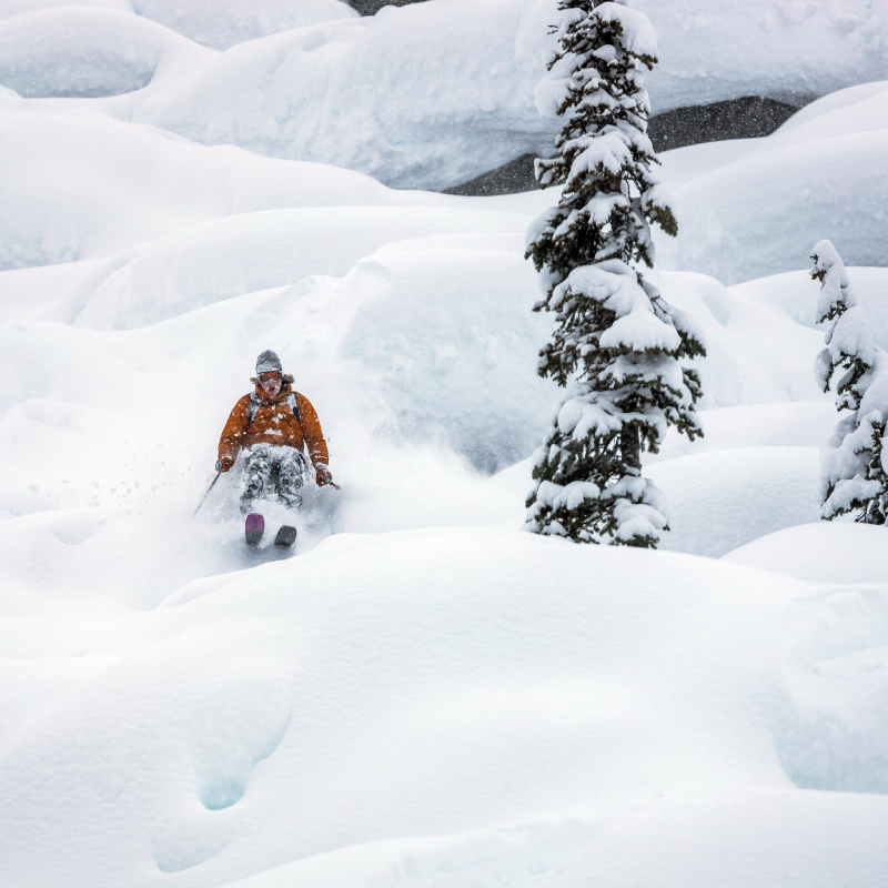 VICE 113 Powder skis in Rogers Pass, BC