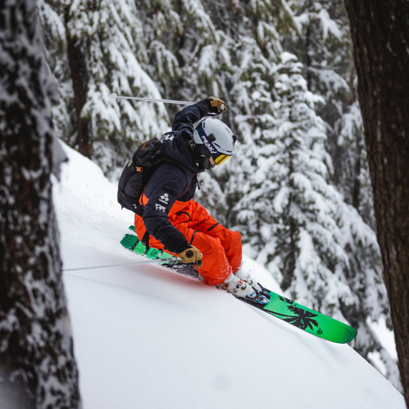 VICE TOURS in the forest near Mt. Hood, Oregon 